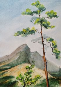 263_Ohne Titel