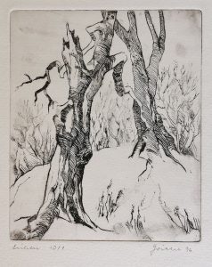 345_Eichen_1996