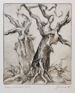 347_Baumstudie_1998