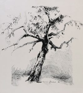 439_Ohne Titel_1882