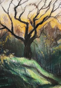 444_Ohne Titel