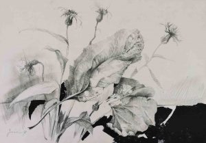 488_Ohne Titel_1998