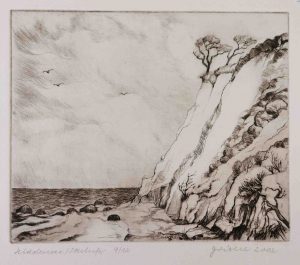 520_Hiddensee Steilufer_2002