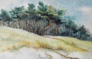 606_Hiddensee Am Kinowäldchen_2010